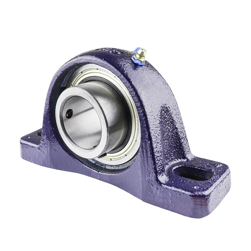 RHP NP1/2 Two Bolt Cast Iron Pillow Block and 1/2 Bore Grub Screw Full Width Insert