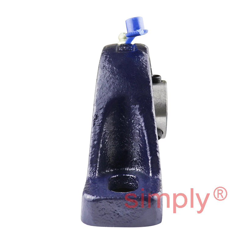 RHP SL20 Two Bolt Cast Iron Pillow Block and 20mm Bore Grub Screw Full Width Insert