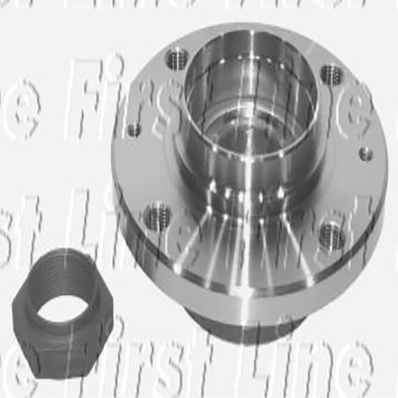 FBK489 Rear Wheel Bearing Kit