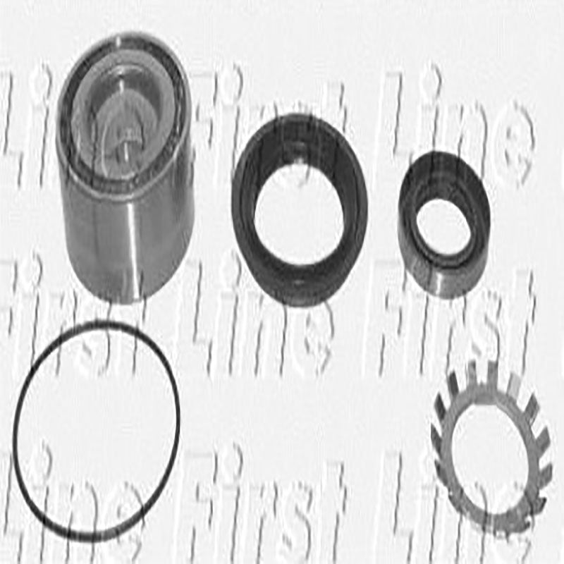 FBK519 Rear Wheel Bearing Kit