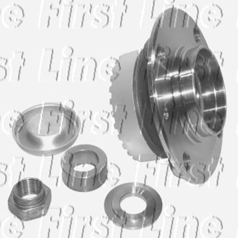 FBK729 Rear Wheel Bearing Kit