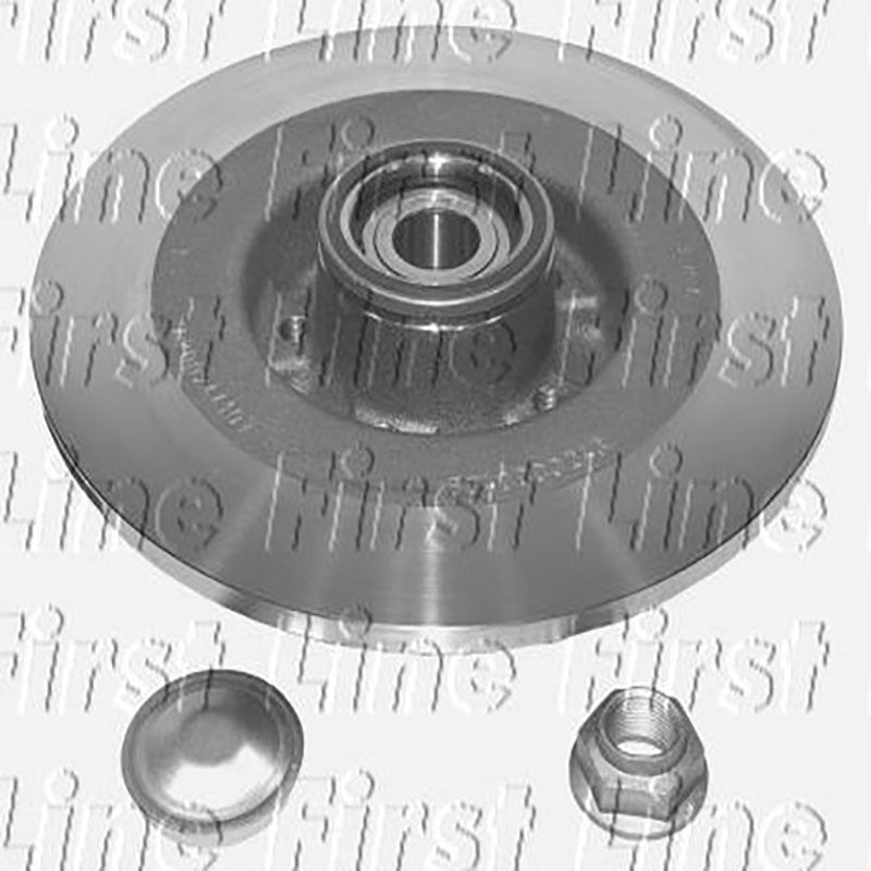 FBK981 Rear Wheel Bearing Kit