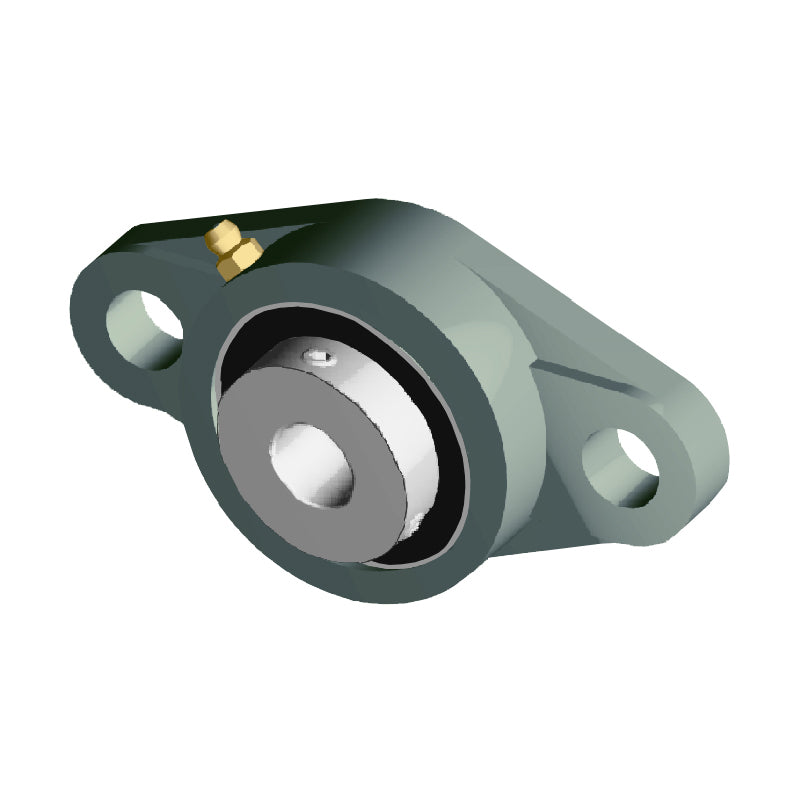 NTN UCFLX08-109D1 Imperial Two Bolt Oval Cast Iron Flange Housing with 1-9/16 inch Bore Insert - Allow 2-3 Days