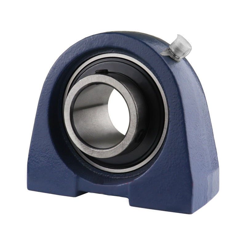 UCPW207 Metric Cast Iron Two Bolt Pillow / Plummer Block Housing with 35mm Insert